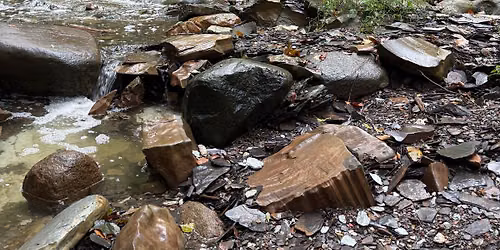 Off-Trail Hike in the Ravine