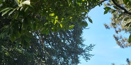 Saltaire farmers Market 