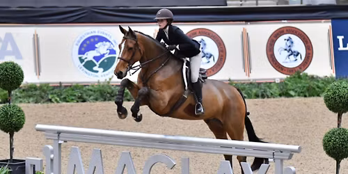 Laura O'Connor Hunter, Jumper, & Equitation Clinic 