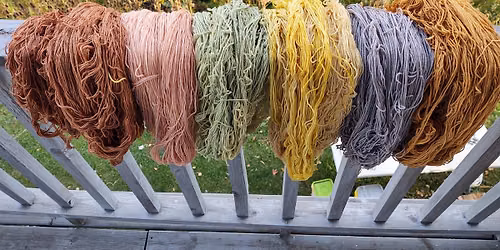 Create Natural Dyes Using Invasive Plants!