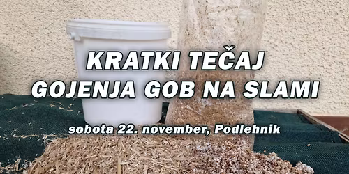 Kratki te\u010daj gojenja gob na slami