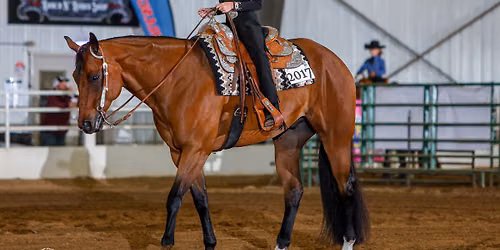 OPHA Summer Jam Horse Show