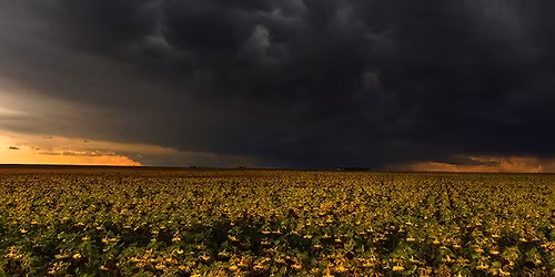 Living Wake of Jo Smith