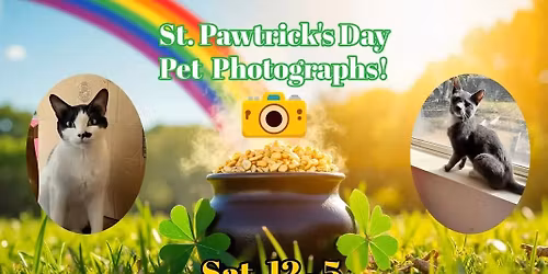 St. Pawtrick's Day Pet Photos