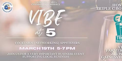 VIBE at 5 Hosted by Triple C Bounce Rentals