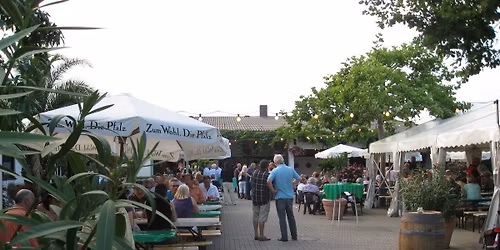 Gro\u00dfes Sommerweinfest im Weingut - Wein, Musik & Sommerfeeling unter freiem Himmel