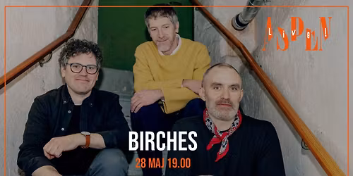 Aspen Live! Birches + support 
