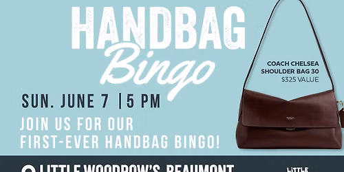 Handbag Bingo