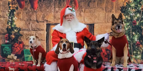 Santa Pet Pictures
