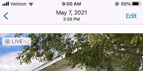 10th Anniversary Celebration 