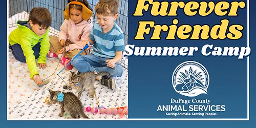 Furever Friends Summer Camp - Session 2