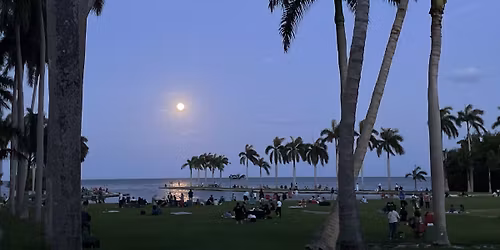 Parking Twilight: New Moon - Film