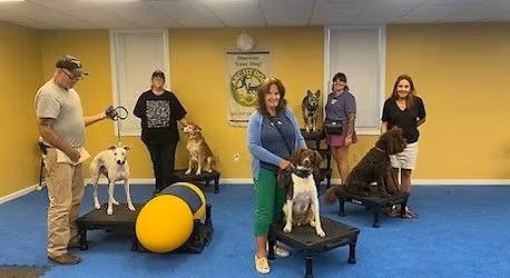 K9 Fitness Skills for Life! w\/ Jen Anderson