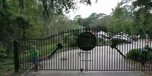 Antique & Collectible Estate Auction