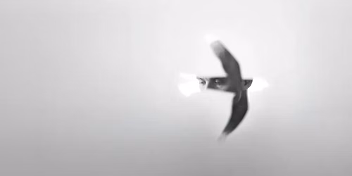 Artur Rojek in \u0141\u00f3d\u017a