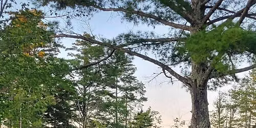 Morning Meditation in the Park