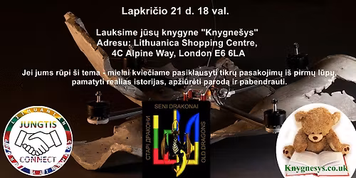 "Lietuvi\u0173 savanori\u0173 patirtys Ukrainoje"