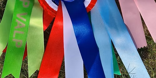 Sommertreff og spesialutstilling 10.-12. juli