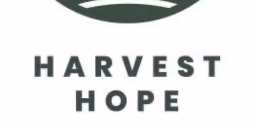 Club service project