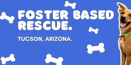Saturday Adoption Event- PETCO