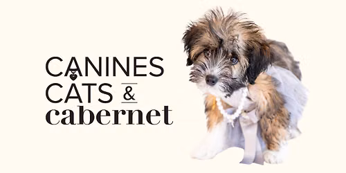 Canines, Cats & Cabernet