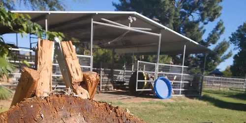 Twin Moons Thrown Weapons Pracrice- March