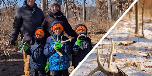 Deer Antler Shed Hunt