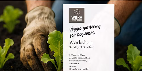 Veggie Gardening for Beginners