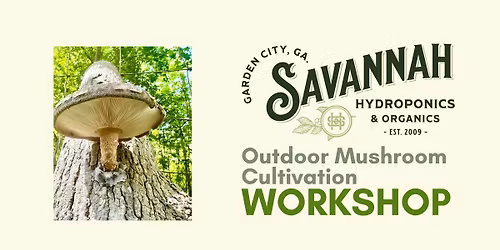 Outdoor Mushroom Cultivation Workshop