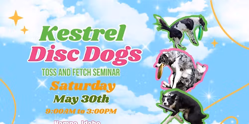 Kestrel Disc Dogs Toss and Fetch Seminar