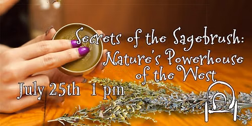 Secrets of the Sagebrush: Nature\u2019s Powerhouse of the West \ud83c\udf3f
