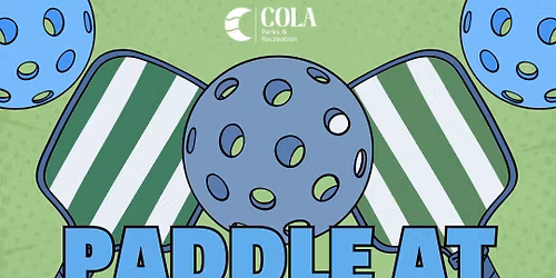 Paddle at the Park: Greenview Park Pickleball Clinic
