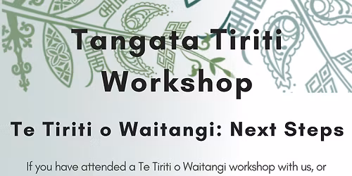 Te Tiriti o Waitangi workshop: Next Steps