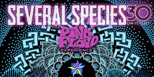 Several Species - The PINK FLOYD Experience