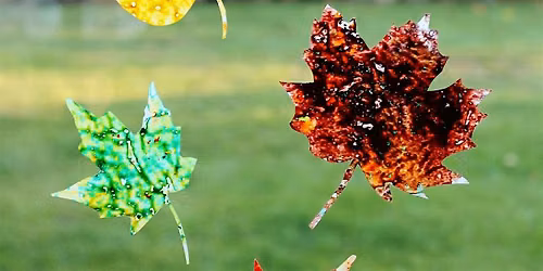Leaf Sun Catchers | Jake Willwerth, instructor