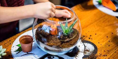 Learn to create a Terrarium Class - Make a magical indoor garden