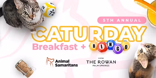 Caturday Breakfast and Bingo