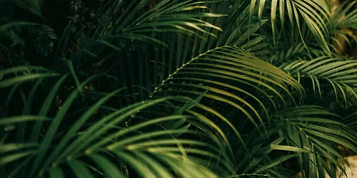 Caregiver Support Group