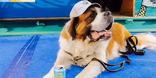 Barks and Brews
