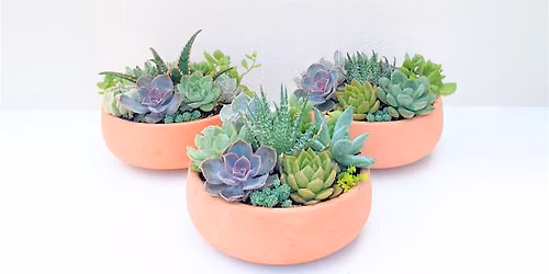 Autumn Succulent Workshop