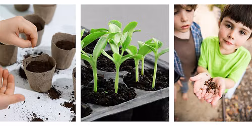 From Seed to Sprout: A Seed Starting Class for Kids