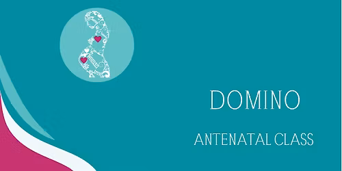 Domino First-time Parent Course - DUBLIN