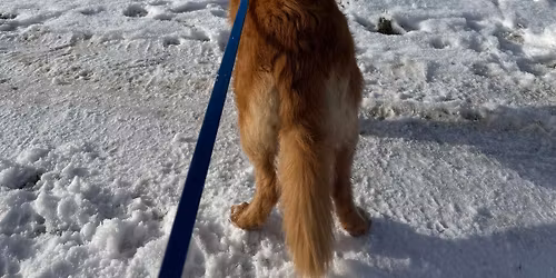 Novoro\u010dn\u00ed Tolle\u0159\u00ed proch\u00e1zka \ud83e\udde1