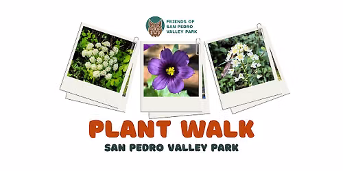 Plant Walk in San Pedro Valley Park - Easy