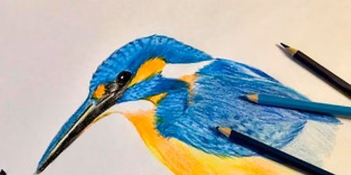Drawing Birds in Coloured Pencils Workshop