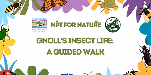 \ud83e\udd97Gnoll\u2019s Insect Life: A Guided Wildlife Walk