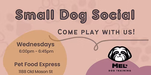 Small Dog Social