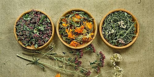 Herbal Winter Wellness