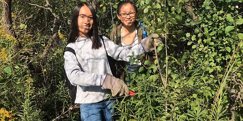 Invasive Shrub Cutting Mary Beth Doyle Nature Area