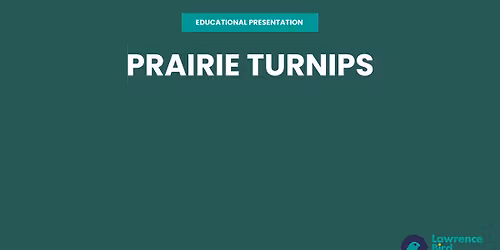  Educational Presentation: Prairie Turnips 